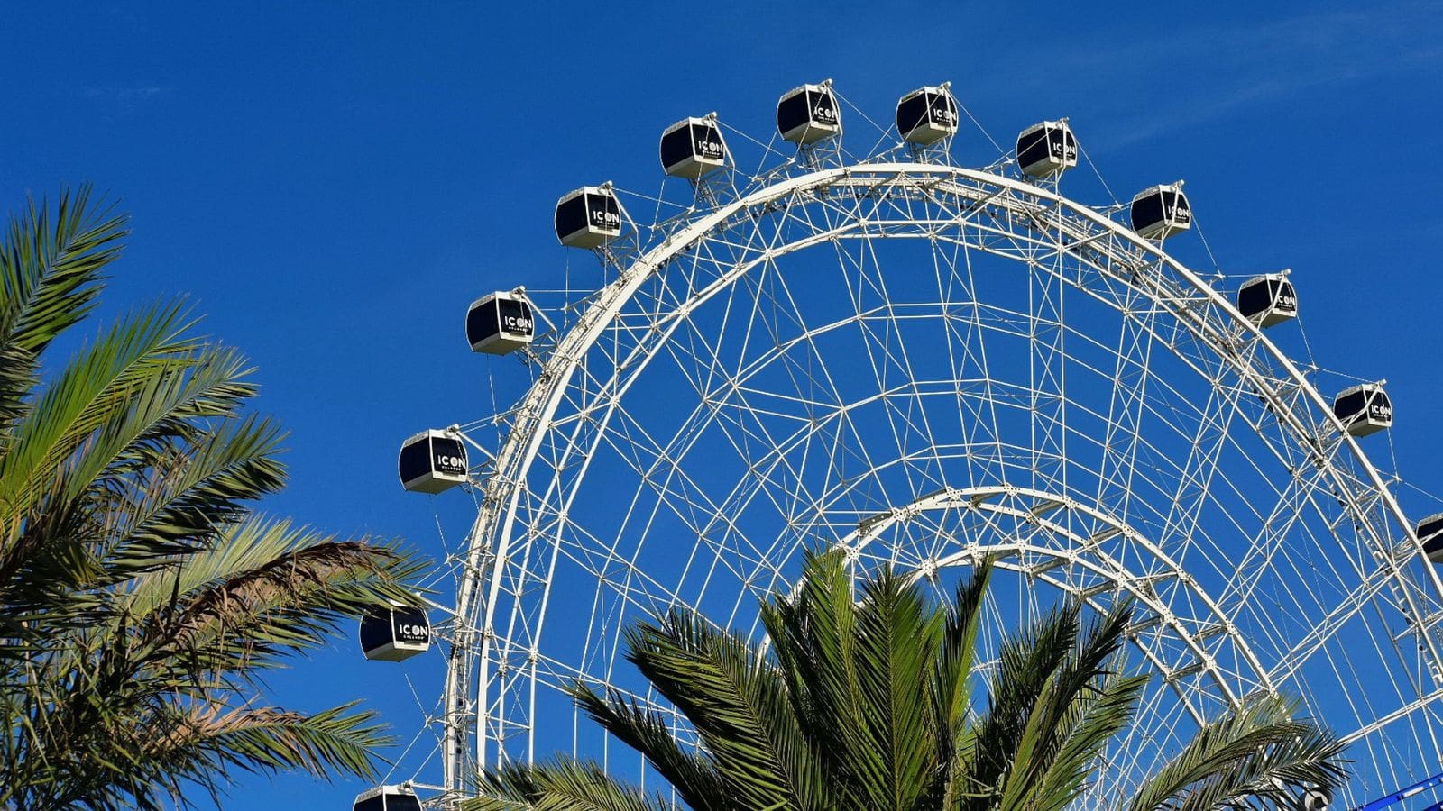 White ICON Orlando Ferris wheel on I-Drive, the top visible with enclosed cabins against blue sky, palm trees in foreground