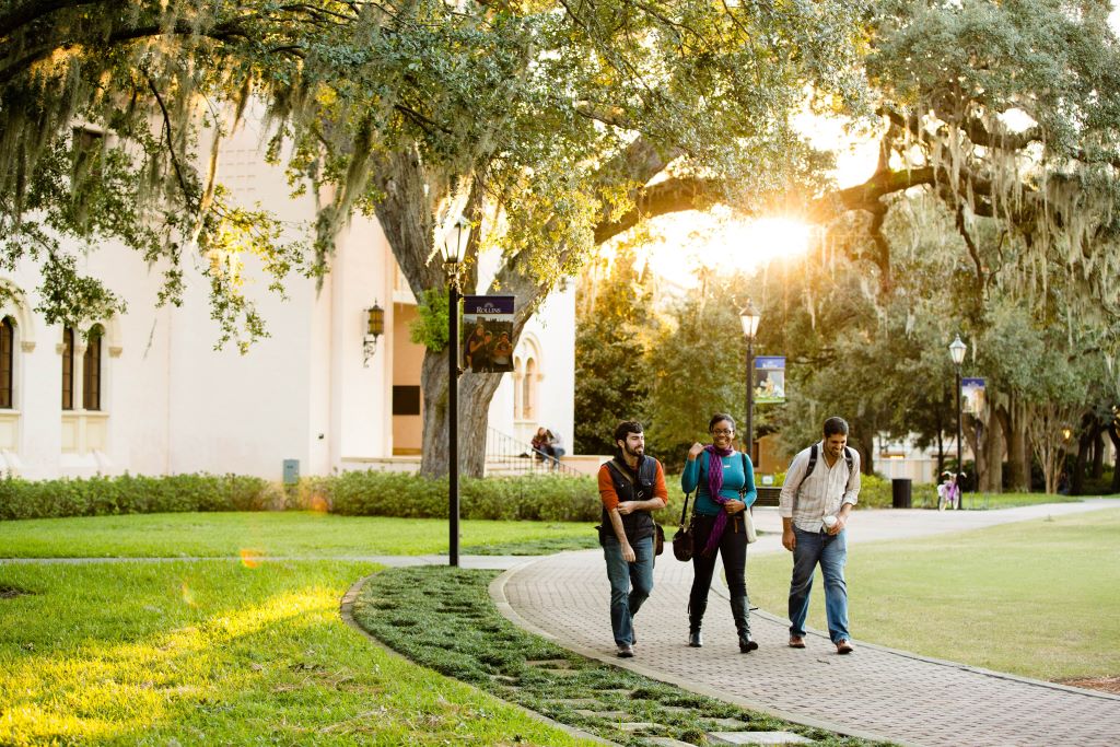 Group of Crummer students walk on a curved campus path surrounded by historic buildings and a large oak tree during sunset